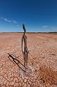 097 Lake Ballard, gormley sculptures